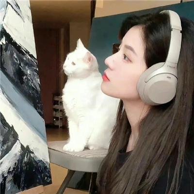 岸边露伴卢浮宫之行